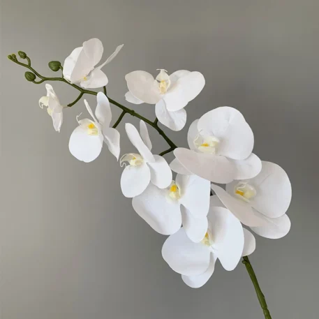 Preserved Orchid Textured Realistic Flowers - Image 11