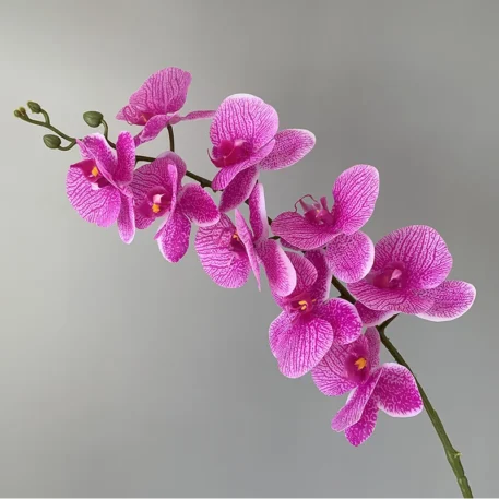 Preserved Orchid Textured Realistic Flowers - Image 13