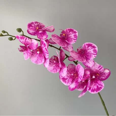 Preserved Orchid Textured Realistic Flowers - Image 7