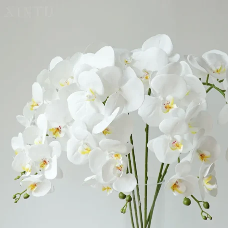 Preserved Orchid Textured Realistic Flowers - Image 4