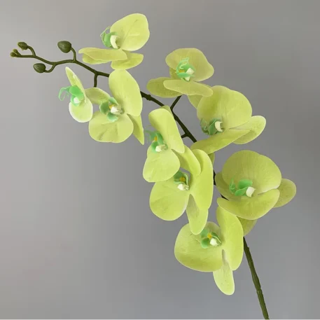 Preserved Orchid Textured Realistic Flowers - Image 14