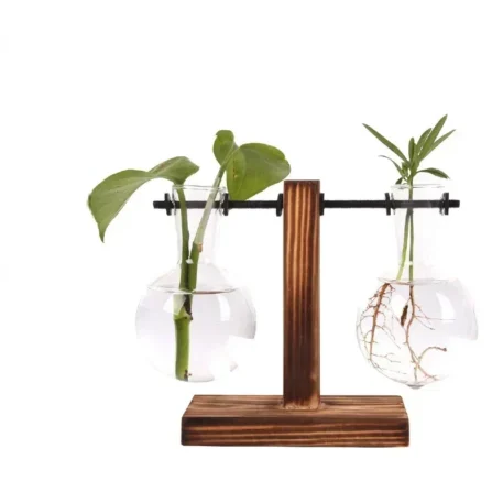 Hydroponic Plant Terrarium Vase - Image 2