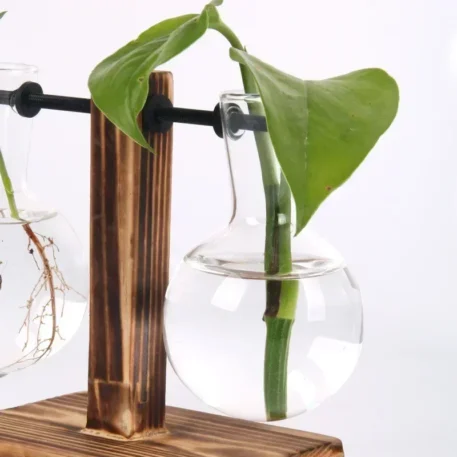 Hydroponic Plant Terrarium Vase - Image 4