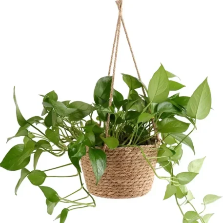 1 Set, Garden Hanging Macrame Baskets - Image 6