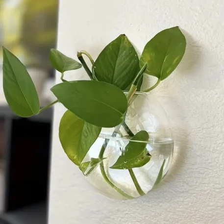 Wall Hanging Glass Plant Terrarium - Image 5