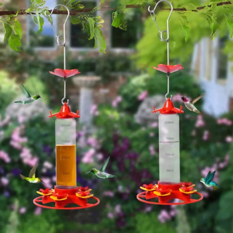 Hanging Hummingbird Bird Feeder Anti-ants -  Leakproof - Image 4