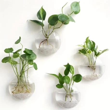 Wall Hanging Glass Plant Terrarium - Image 3