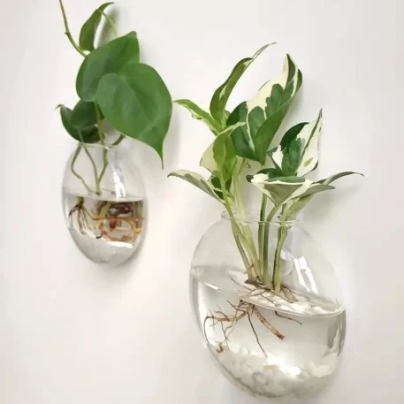 Wall Hanging Glass Plant Terrarium - Image 4