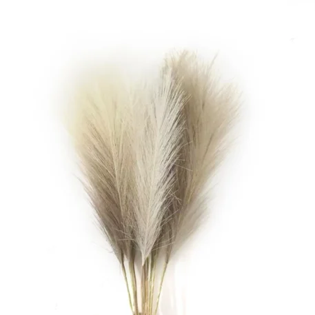 6PCS Artificial Pampas Grass Decor Flowers - Image 8