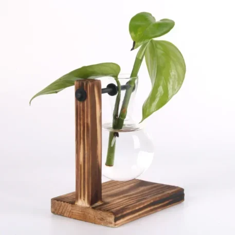 Hydroponic Plant Terrarium Vase - Image 5