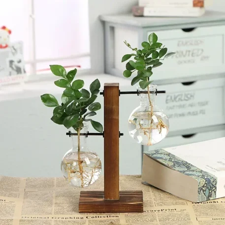 Hydroponic Plant Terrarium Vase - Image 7