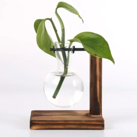 Hydroponic Plant Terrarium Vase - Image 6