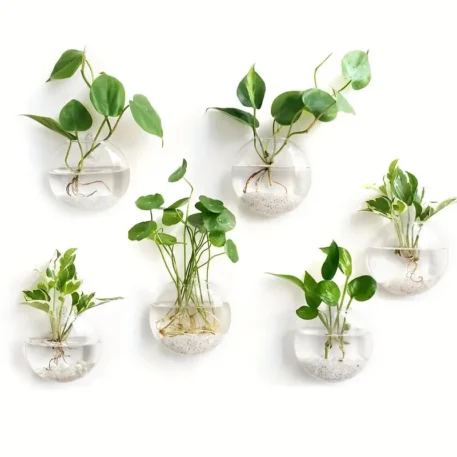 Wall Hanging Glass Plant Terrarium - Image 2